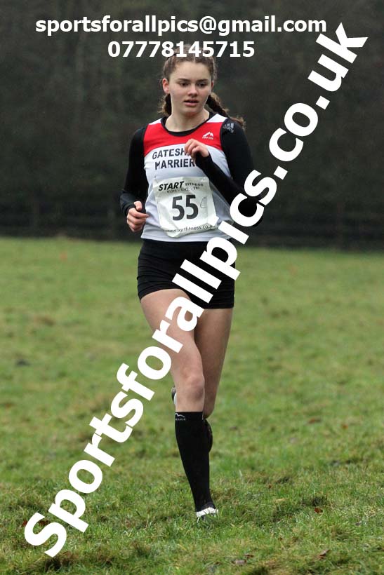 Girls under-15s, NECAA Junior Cross Country Relays, Thornley Farm, Peterlee, Saturday, December 12th. Photo: David T. Hewitson/Sports for All Pics